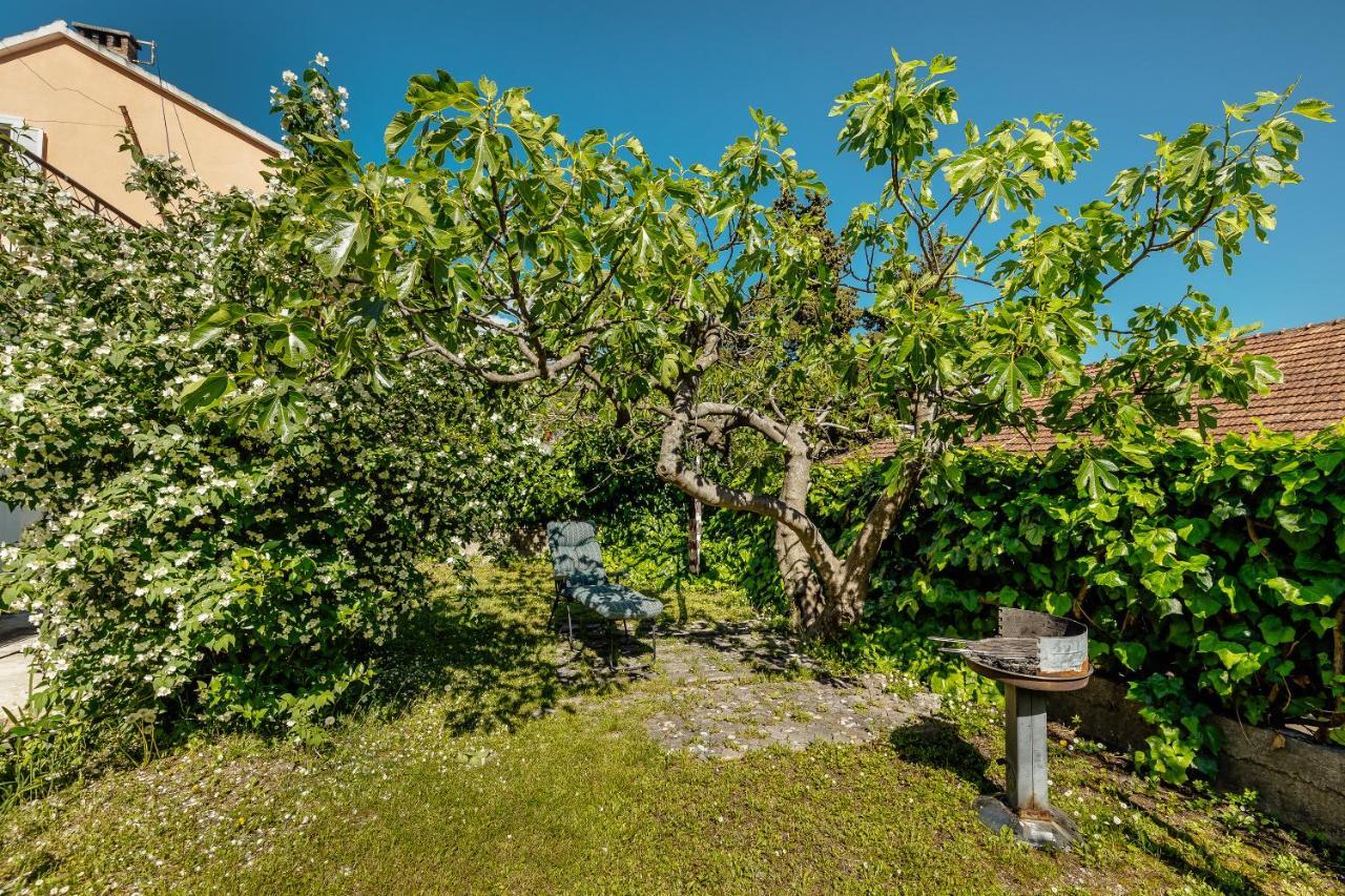 Garden Herceg Novi
