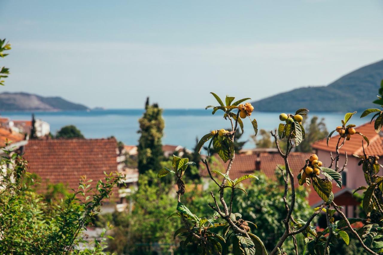 Garden Herceg Novi