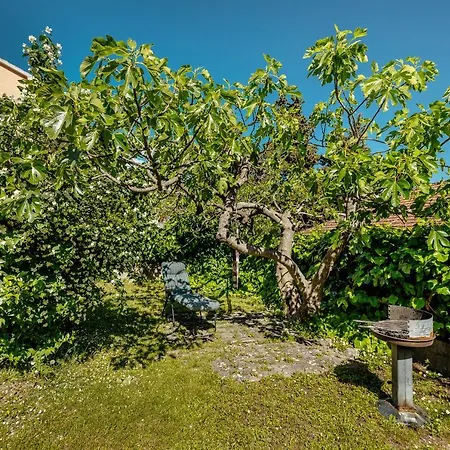 Green Garden Apartments Herceg Novi Exterior photo